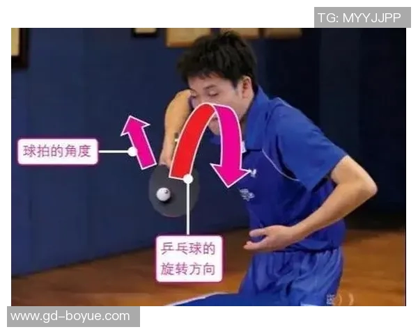 从零基础到高手之路乒乓球技巧与心态全面提升攻略