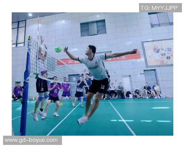 排球灵活性排行榜揭晓深圳排球队荣登第十名展现实力与潜力