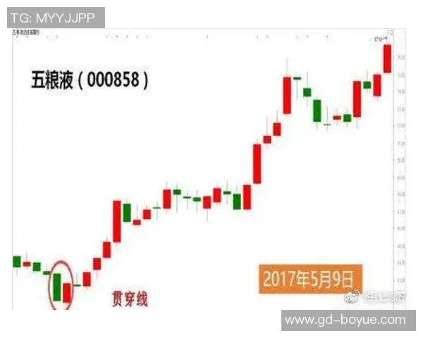 深入分析杭州乒乓球队防反打法的战术特点与实战应用