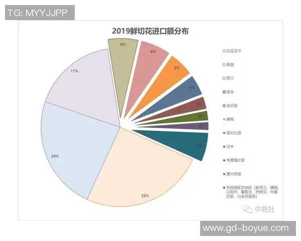 独家分析：广州排球队的战术对比