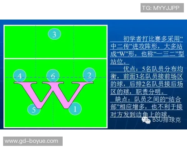 科学排球:战术训练方法