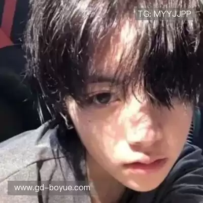 万桢翼